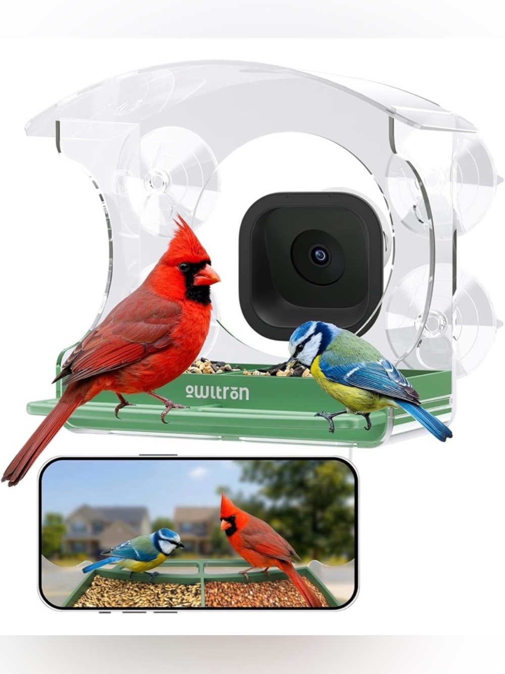 Window Bird Feeder with Camera, 2K 3MP Window Bird Friends Feeder